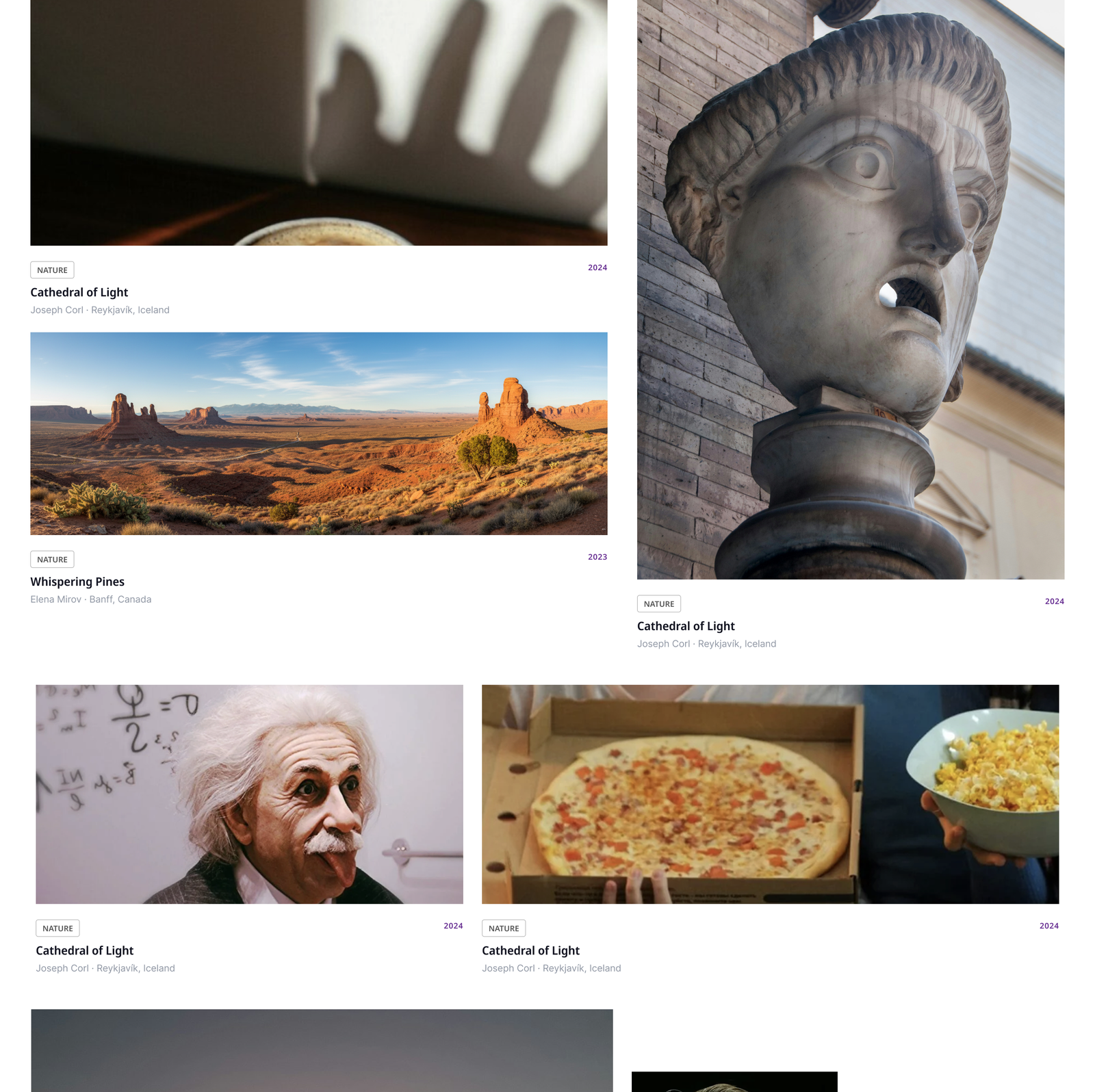 The final grid: generous but scannable, with category labels, titles, and photographer credits